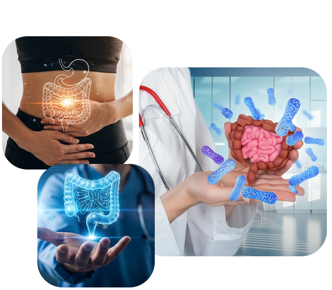 Santé digestive et microbiote intestinal